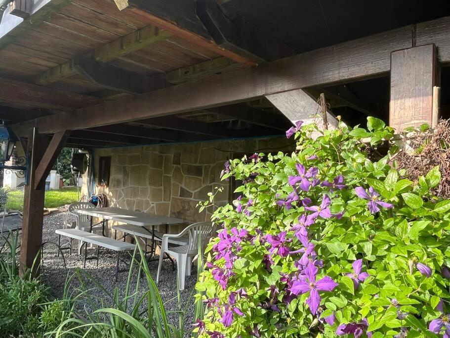 Studio Renove Rdc Terrasse Wepion Namur Ngoại thất bức ảnh